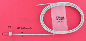 bi019